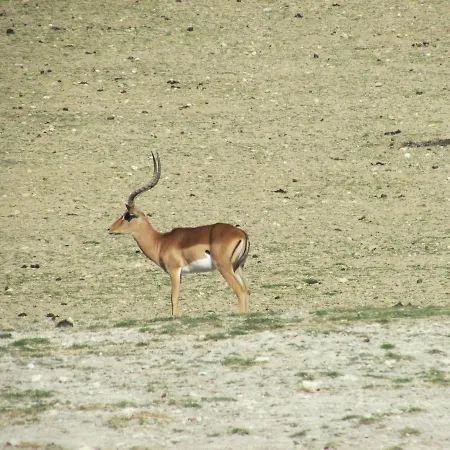 Mobilhome « Candice » *