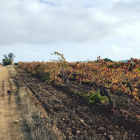 营地 Mobilhome « Candice »