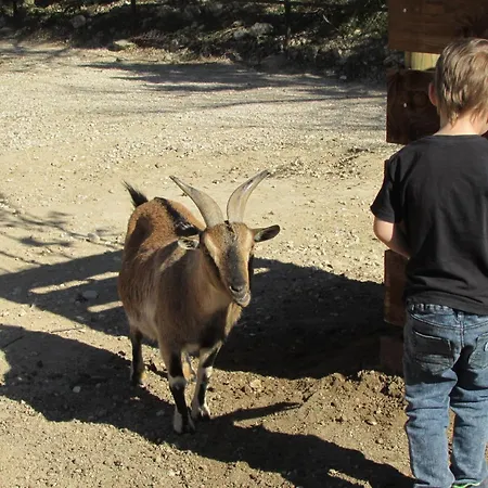 Mobilhome « Candice » * سيجيان