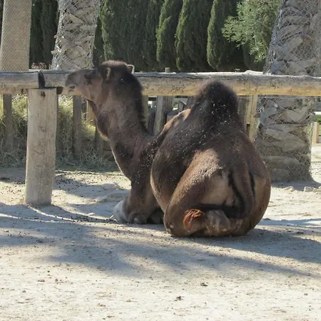 Mobilhome « Candice » * Sigean