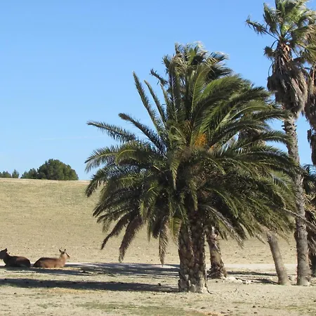 Mobilhome « Candice » Campsite Sigean