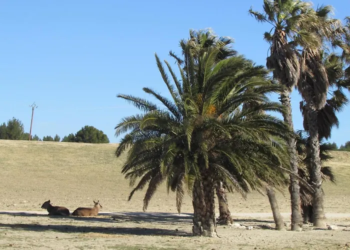 Mobilhome « Candice » Camping Sigean